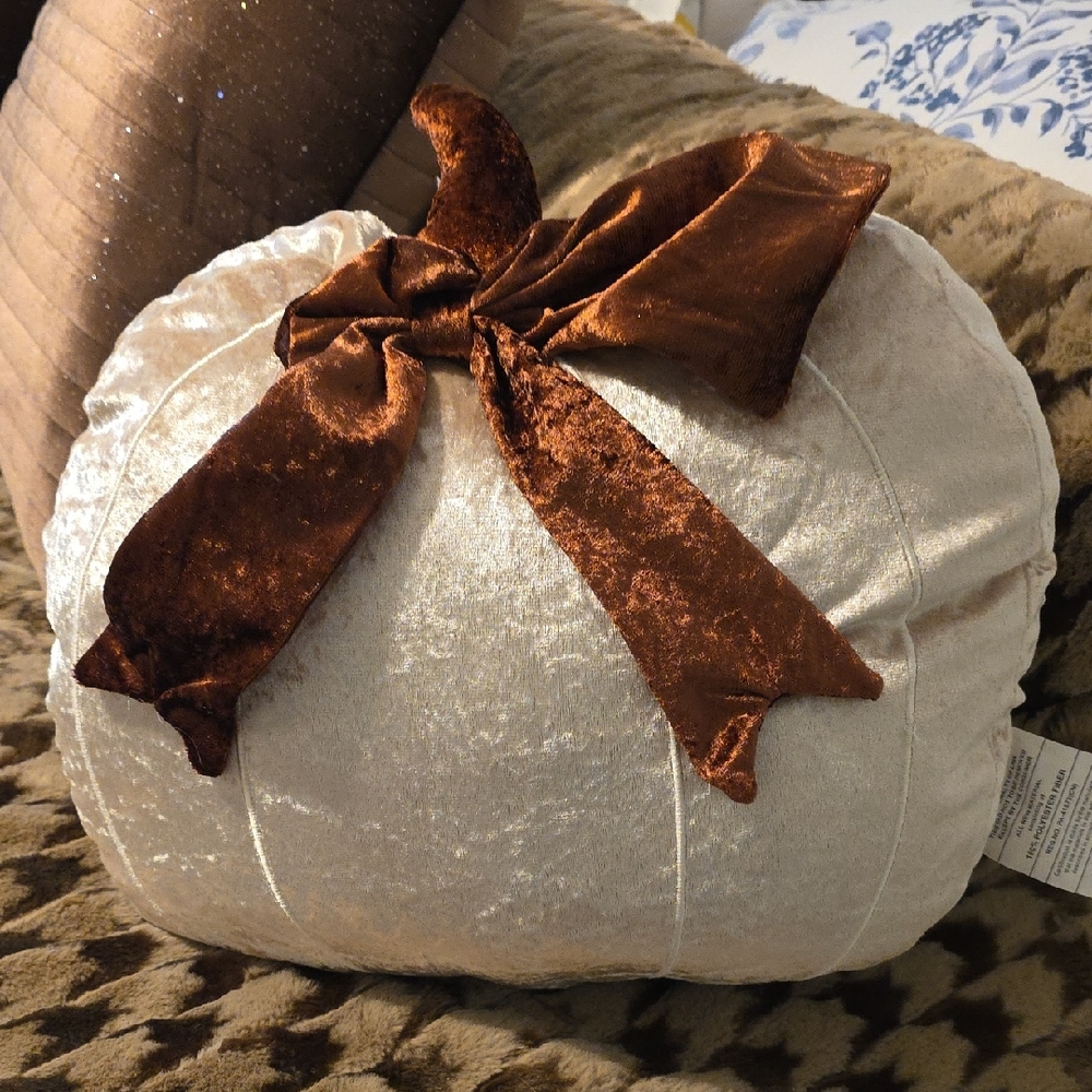 Southern Living At Home Cream and Brown Holiday Pillow